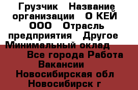 Грузчик › Название организации ­ О’КЕЙ, ООО › Отрасль предприятия ­ Другое › Минимальный оклад ­ 25 533 - Все города Работа » Вакансии   . Новосибирская обл.,Новосибирск г.